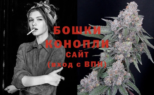 СК Краснослободск