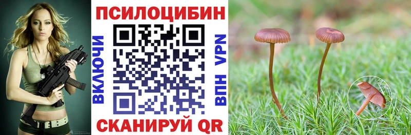 хочу Красноуфимск Галлюциногенные грибы MAGIC MUSHROOMS